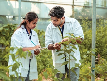 bwu-students-diploma-hm